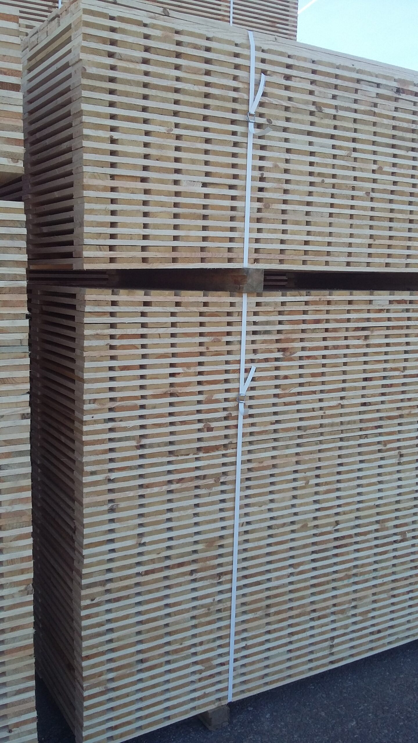 Elementi Pallet 010 Scaled