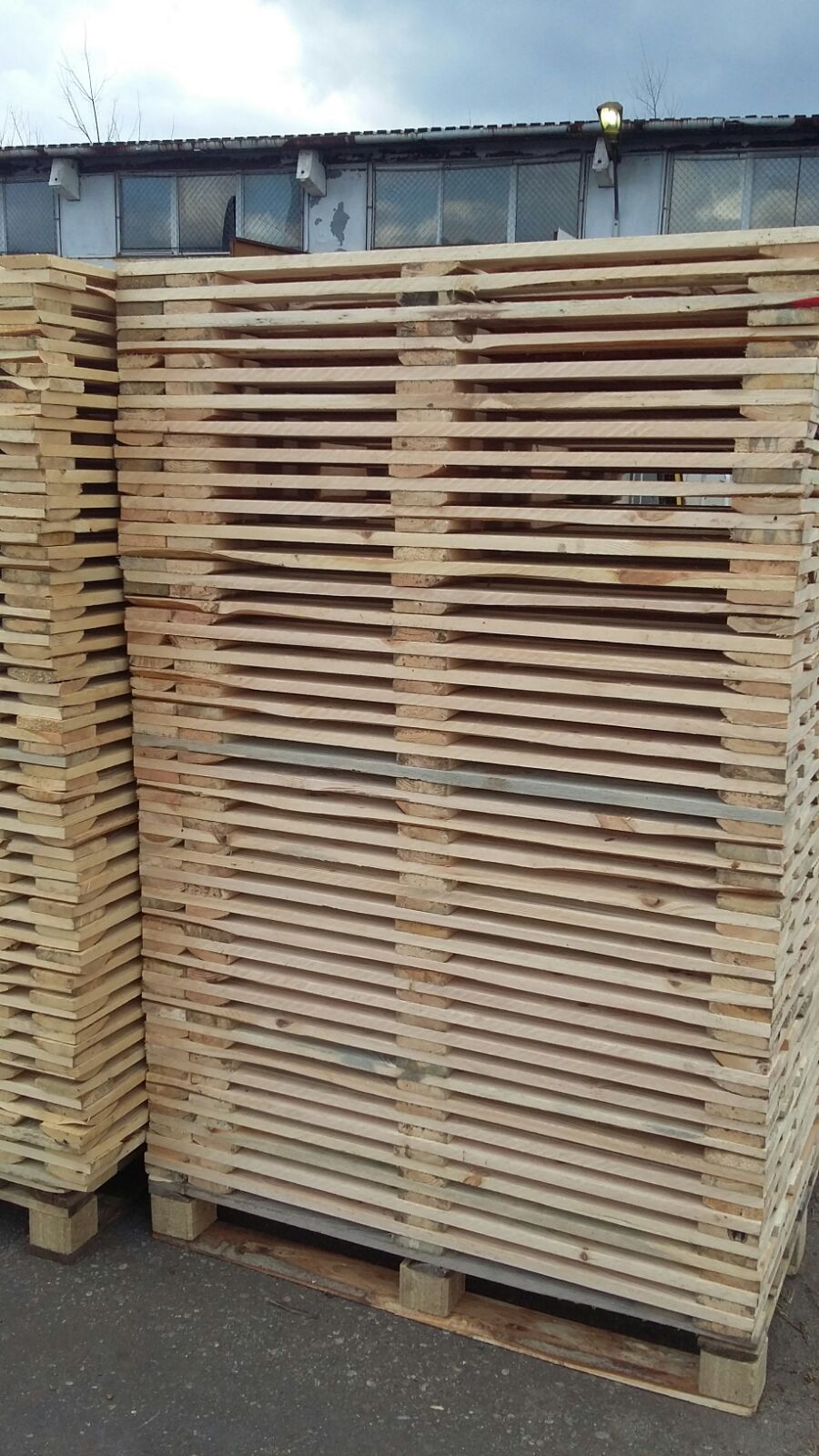 Foto Legno 11.09.2018 067