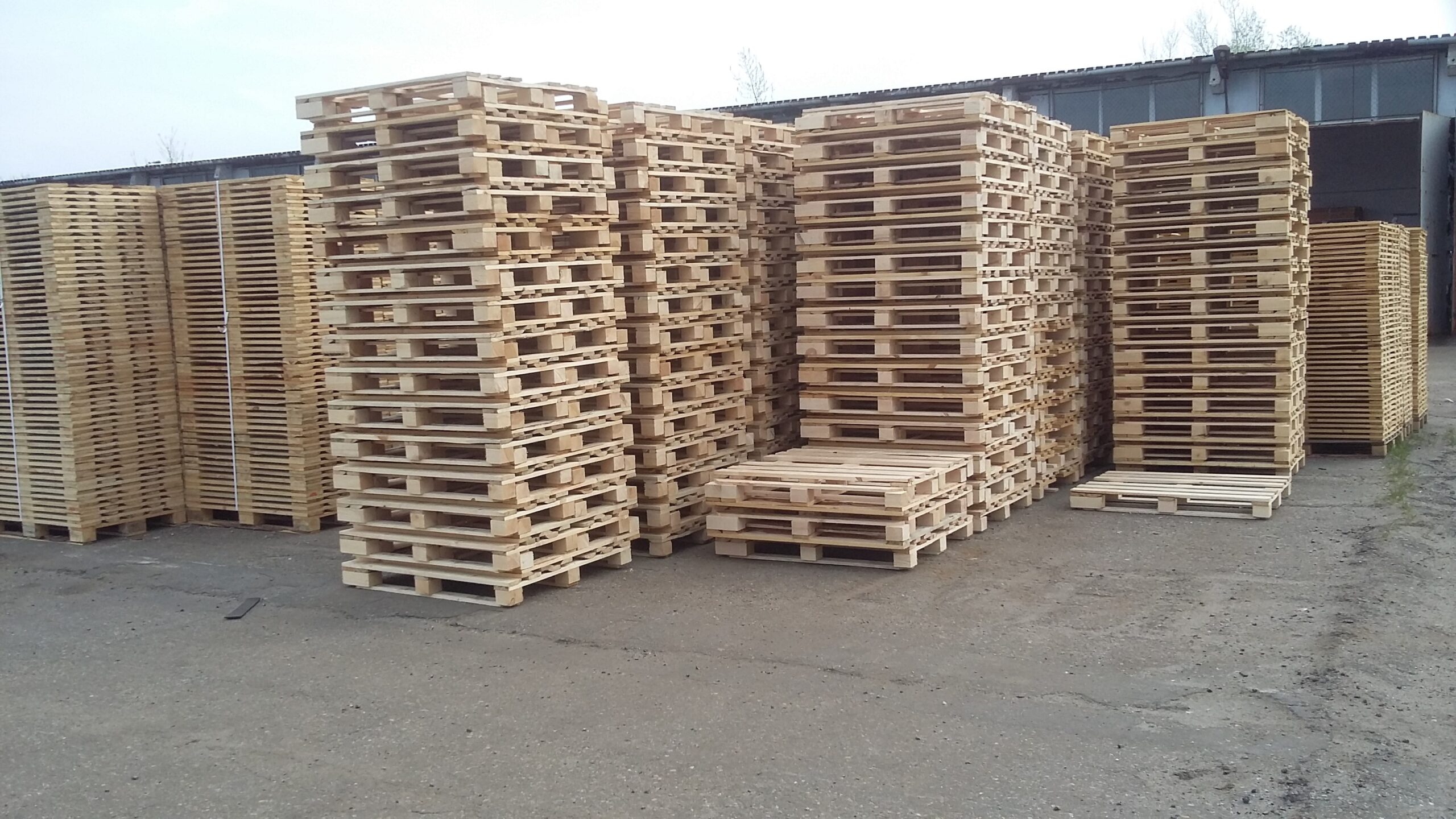 Foto Legno 11.09.2018 177 Scaled