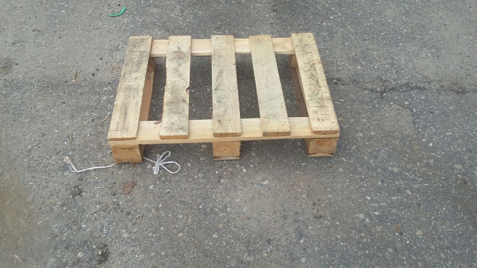 Foto Legno 11.09.2018 264