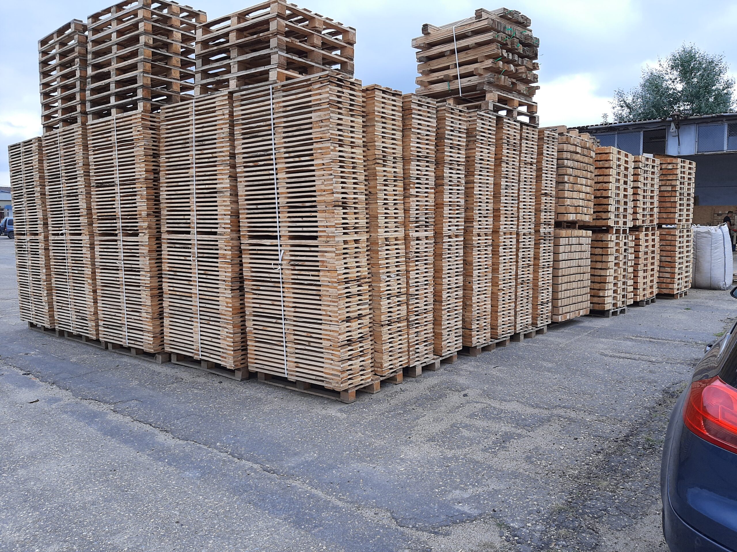 Foto Pellet 2020 005 Scaled